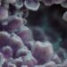 Flensutenol-Texture